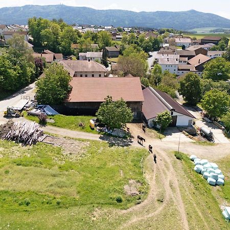 Ferienhof Schuetz Eschlkam المظهر الخارجي الصورة